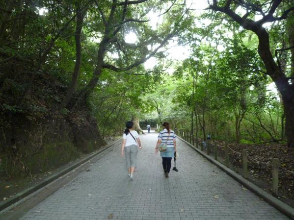 Shiroyama Observatory・Shiroyama Promenade-4