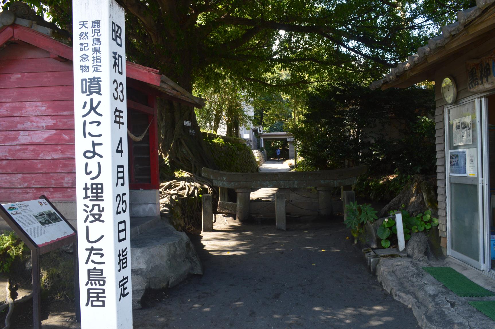 Kurokami Buried Shrine Gate-2