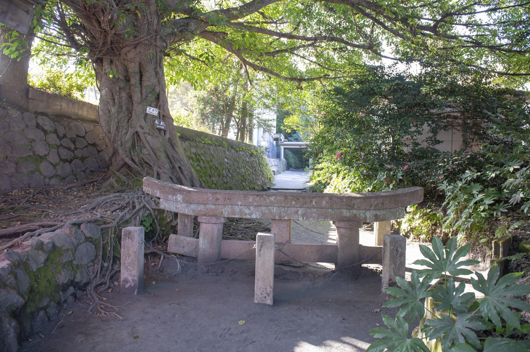 Kurokami Buried Shrine Gate-1