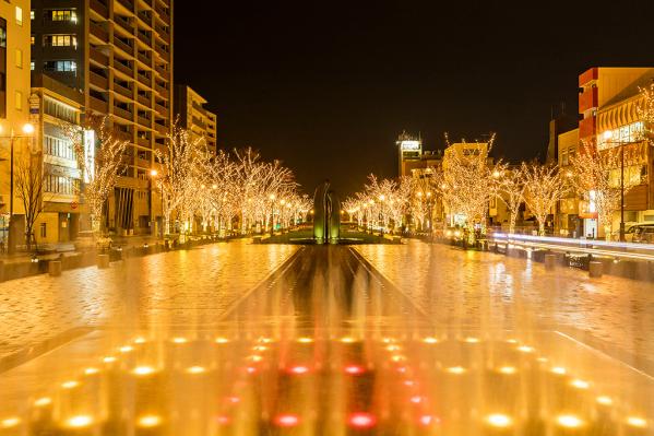 Minato Odori Park-5