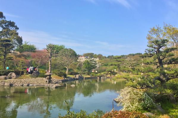 鹿児島県立吉野公園-5