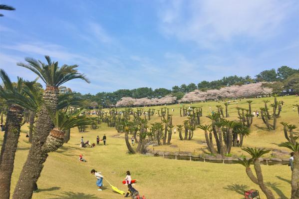 鹿児島県立吉野公園-3