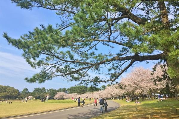 鹿児島県立吉野公園-2