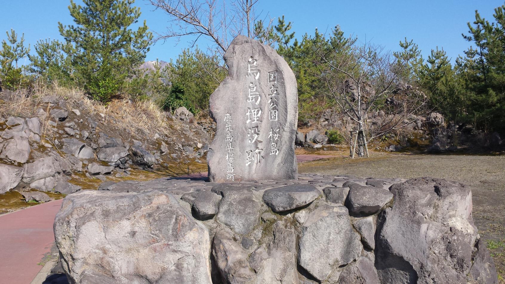 Karasujima Observatory-4