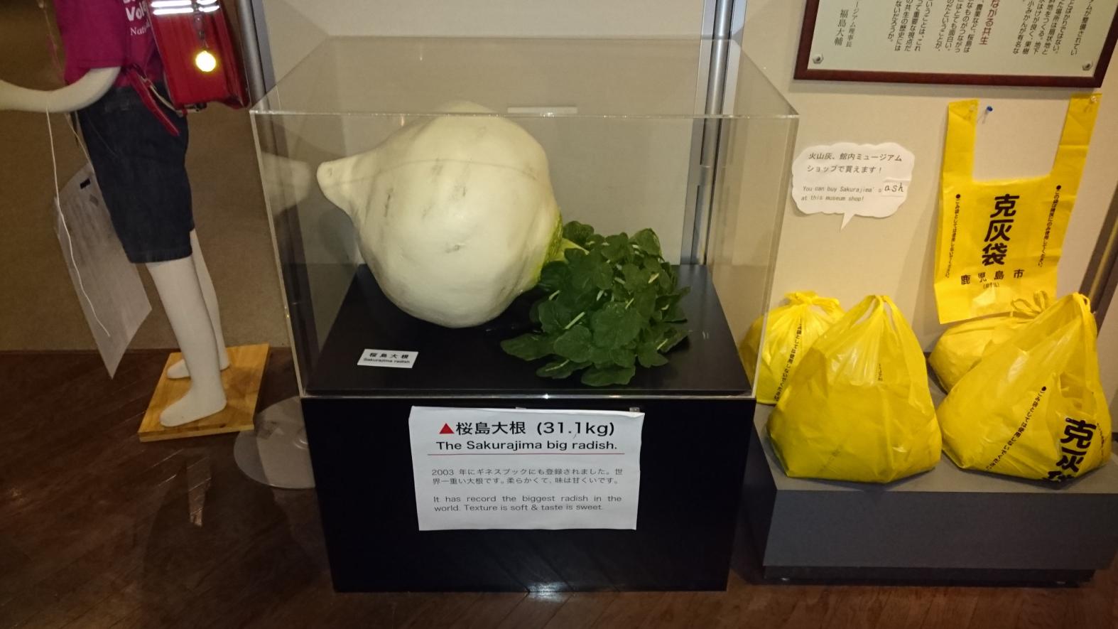 桜島ビジターセンター-6