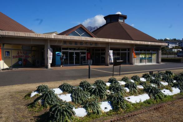 道の駅桜島　火の島めぐみ館-5