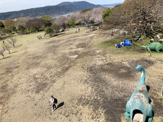 Sakurajima Dinosaur Park-6