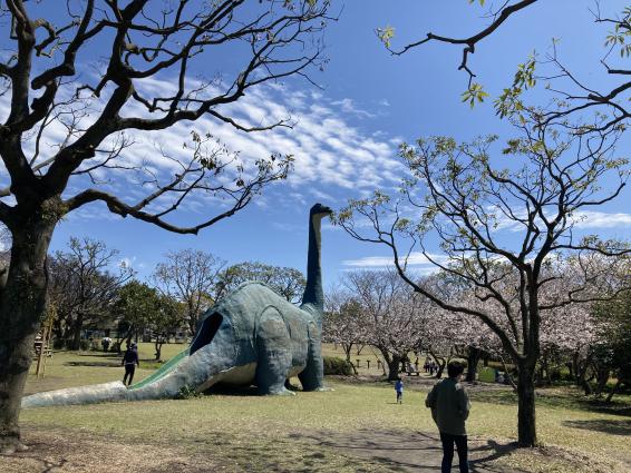 桜島自然恐竜公園-0