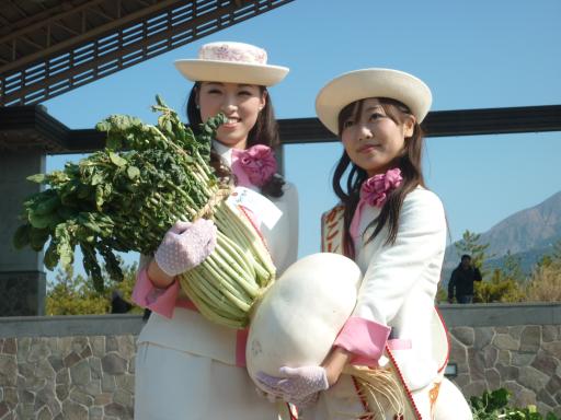 Núi lửa Sakurajima-8