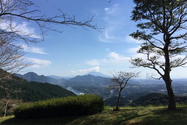 八重山公園・キャンプ村-3