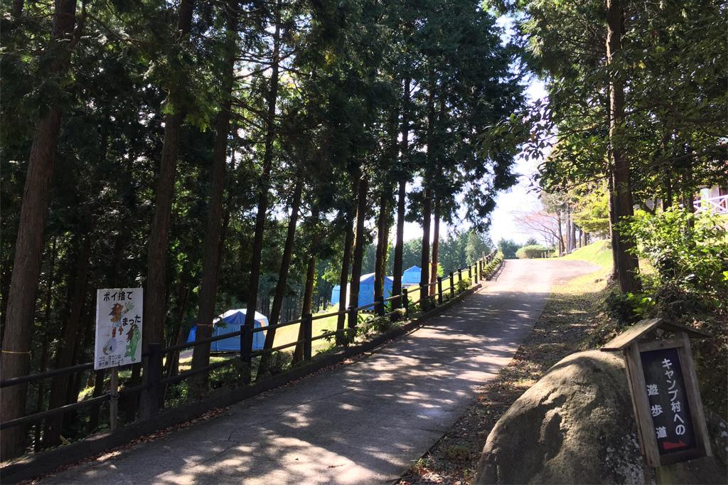 八重山公園・キャンプ村-4