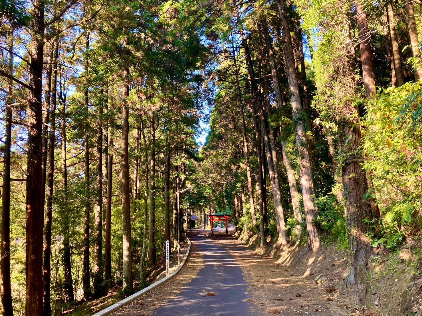 花尾神社-5