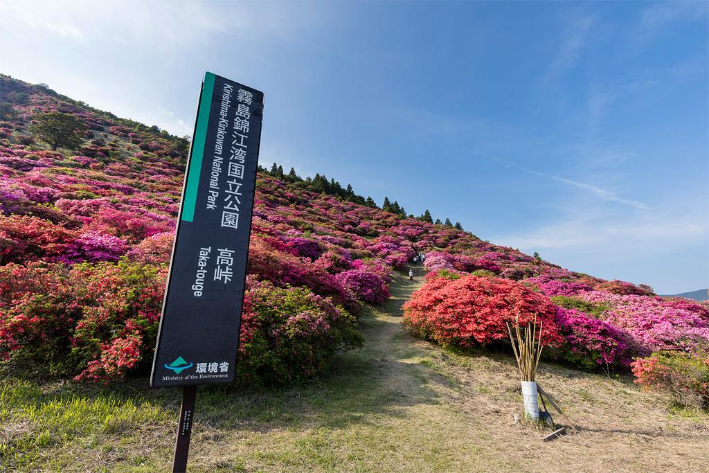 高峠つつじヶ丘公園-1