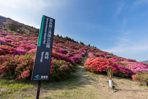 高峠つつじヶ丘公園-0