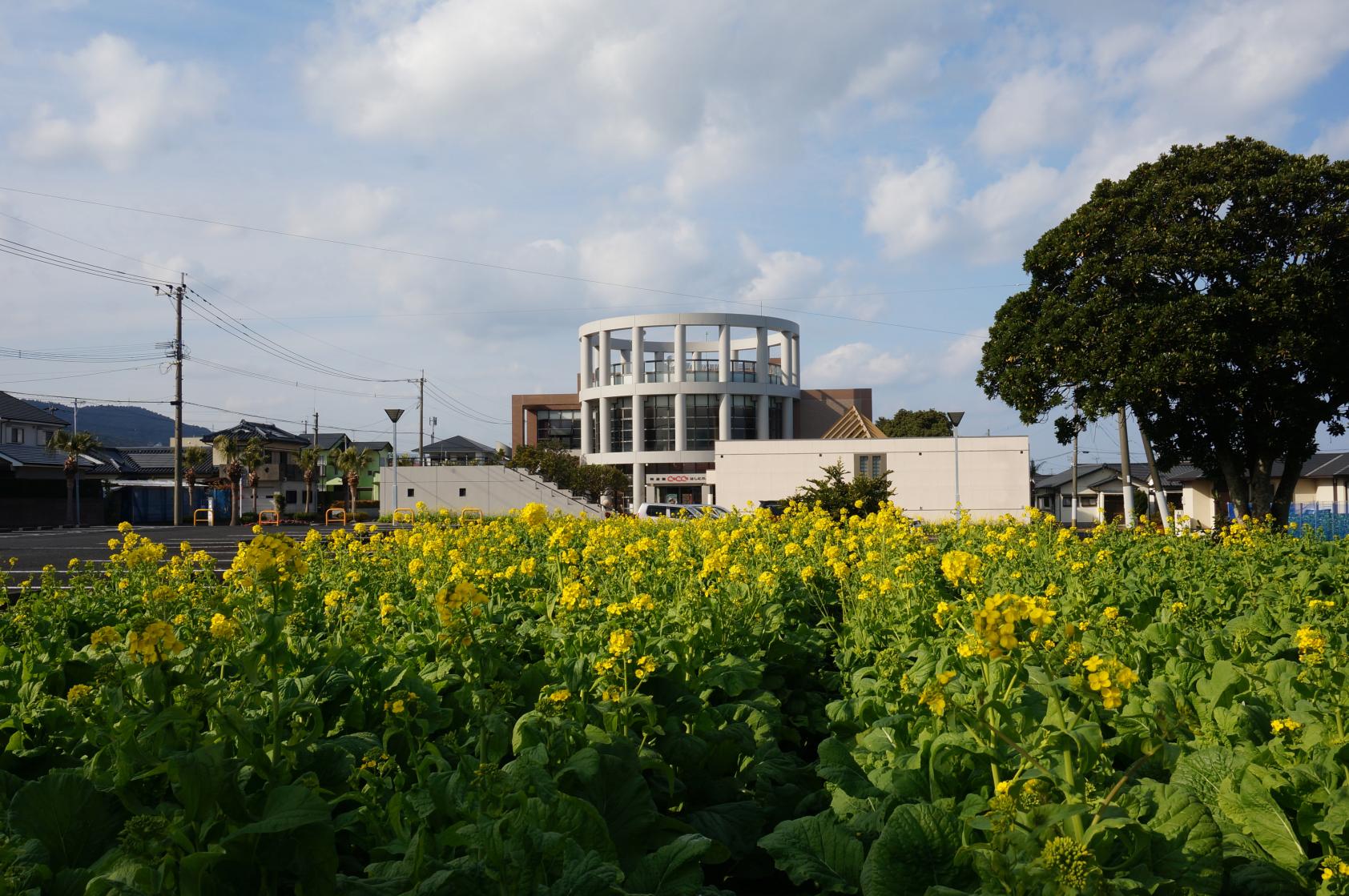 指宿市考古博物館 時遊館COCCOはしむれ-7