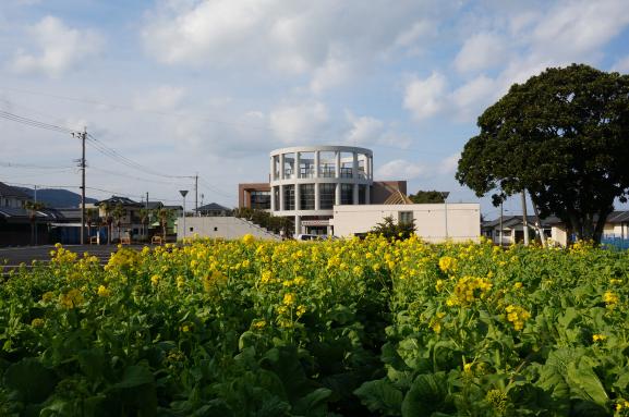 指宿市考古博物館 時遊館COCCOはしむれ-7