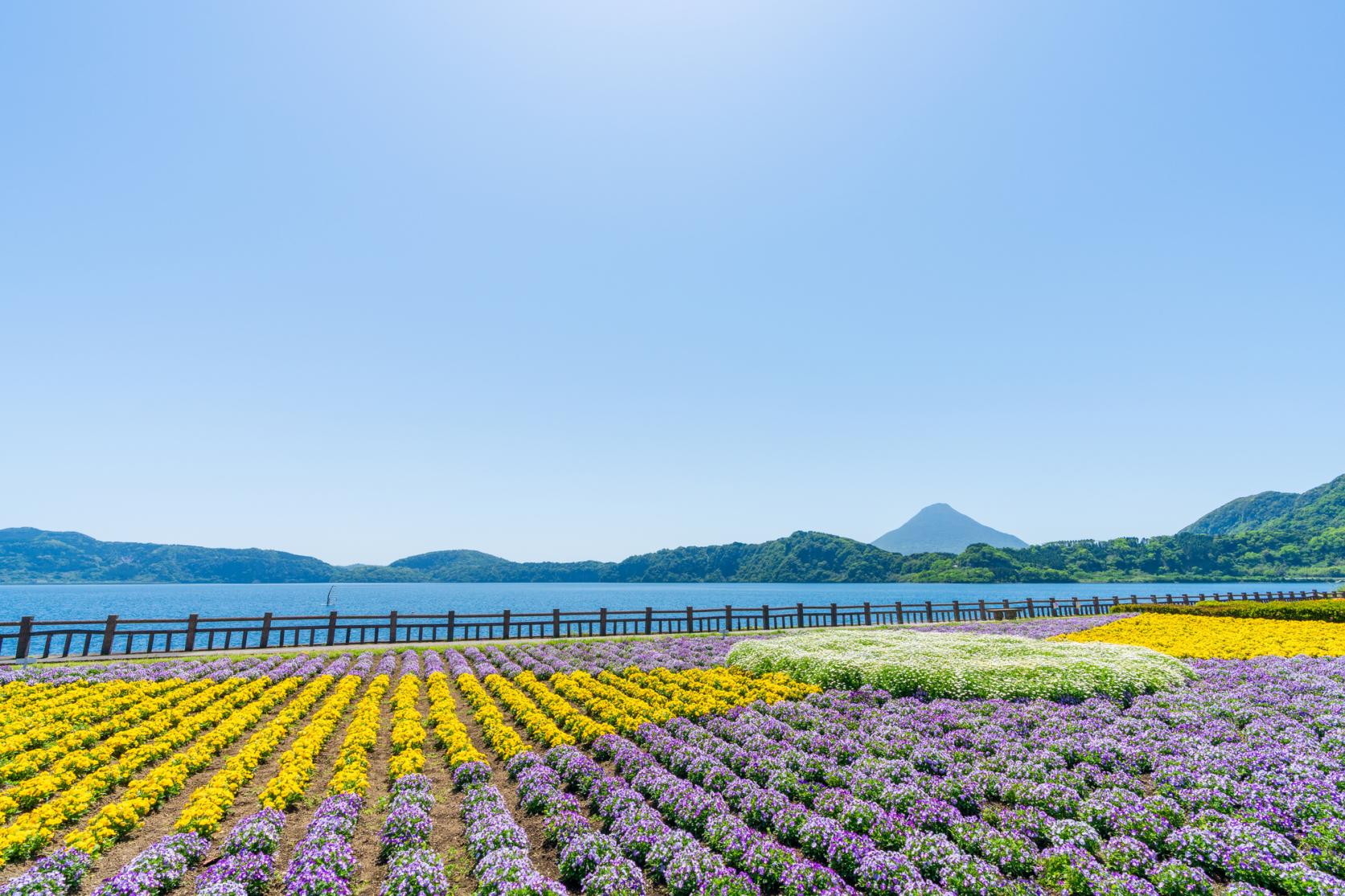  池田湖 