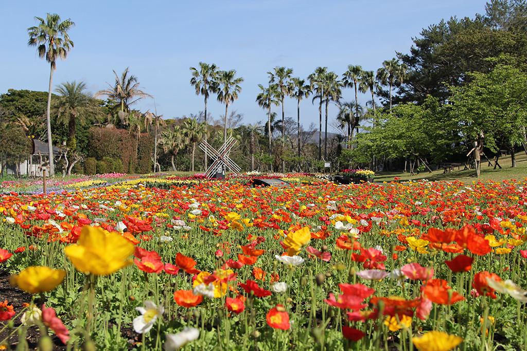 Flower Park Kagoshima-7