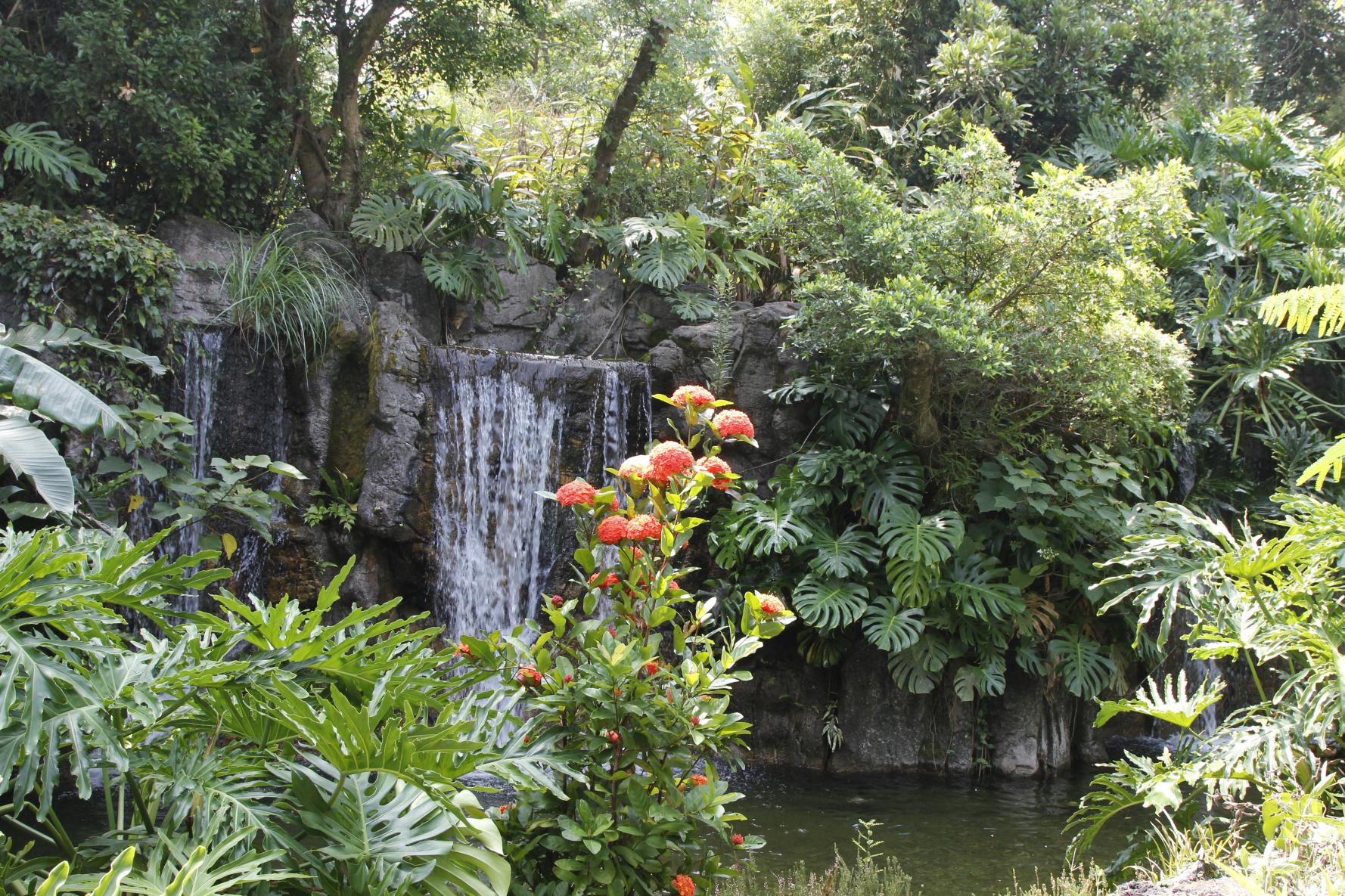 フラワーパークかごしま-7