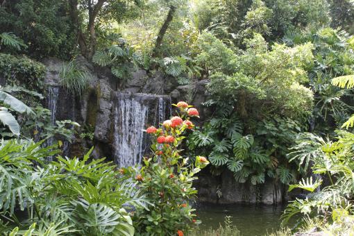 フラワーパークかごしま-7