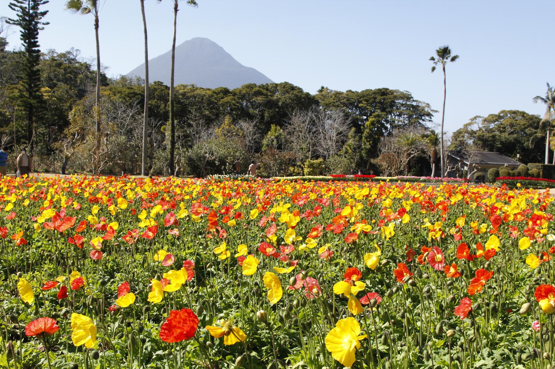 フラワーパークかごしま-5