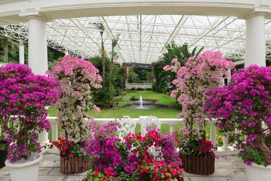 フラワーパークかごしま-0