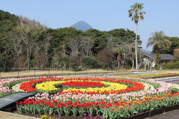 Công viên hoa Kagoshima-2