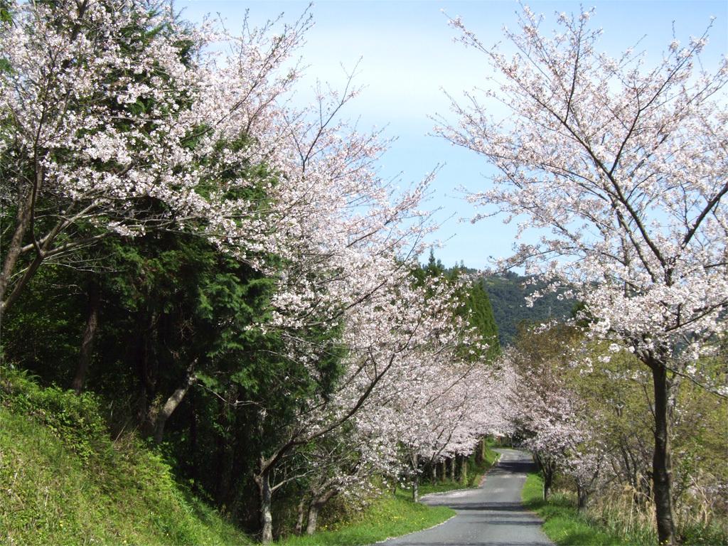 鷲尾の森自然公園-1