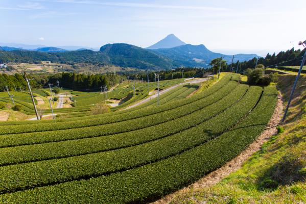 開聞岳-0