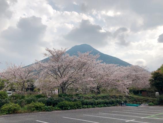 かいもん山麓ふれあい公園・キャンプ場-2