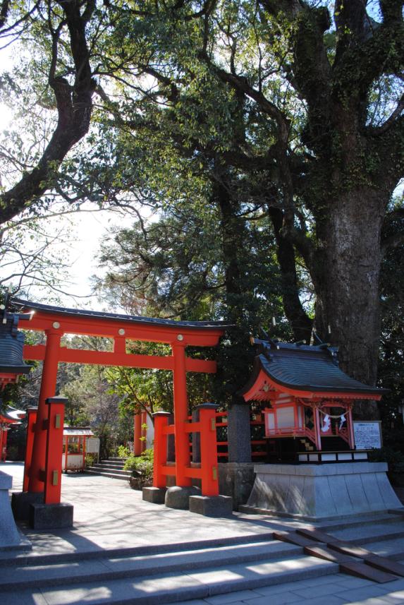 Hirakiki Shrine-4