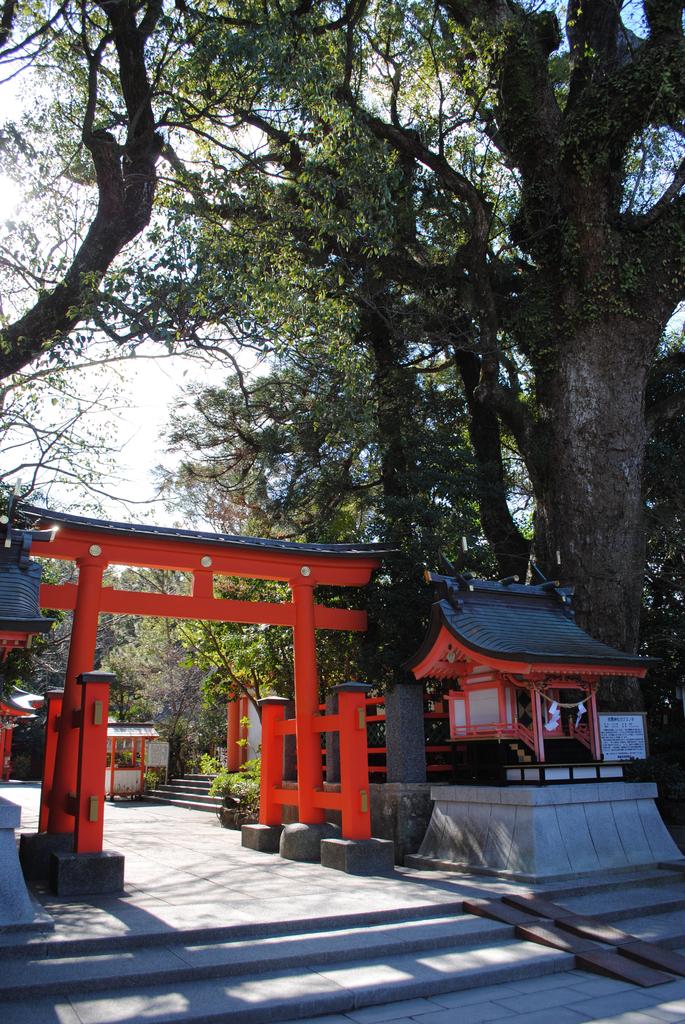 Hirakiki Shrine-4