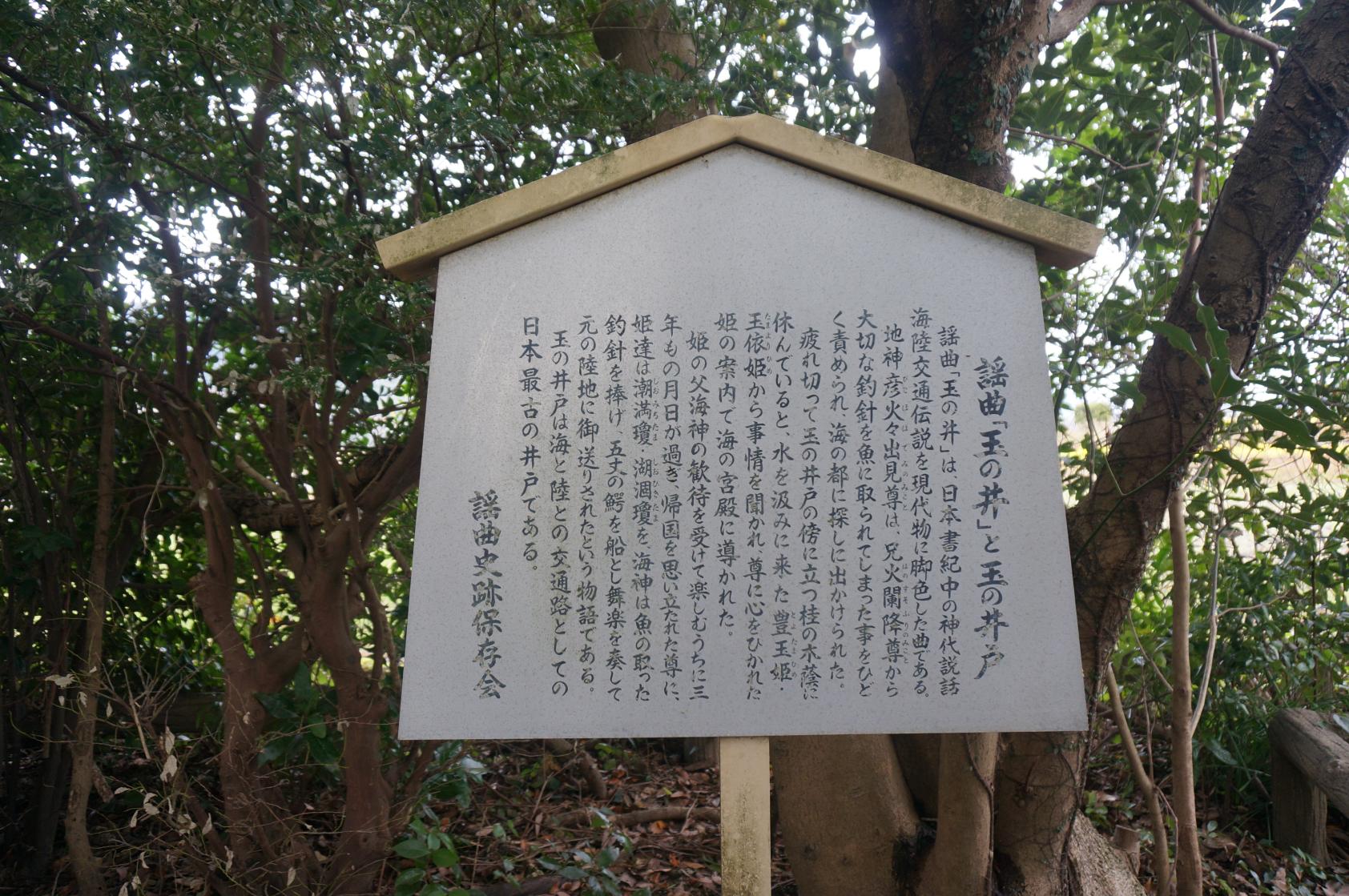 玉乃井-1
