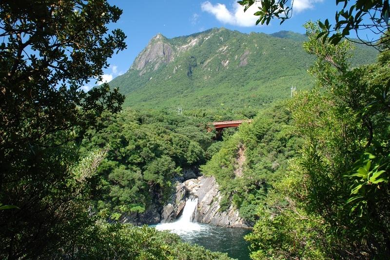 画像はWEBサイトのOGPタグから引用しています 【公式】鹿児島県観光/旅行サイト かごしまへの旅