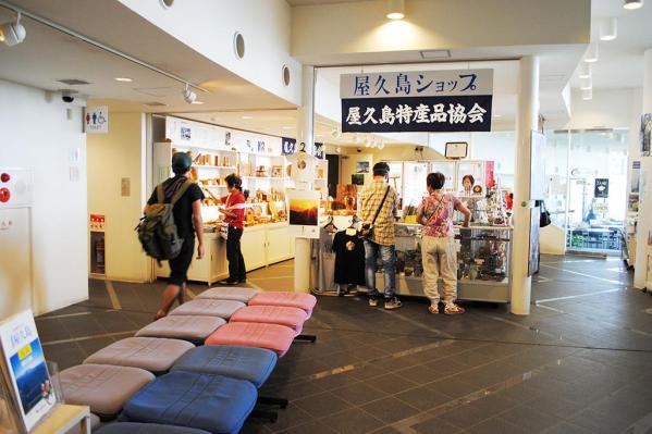 Yakushima Environmental Culture Center-9
