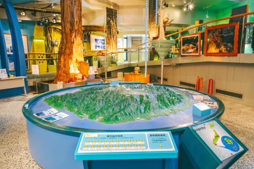 Yakushima Environmental Culture Center-4