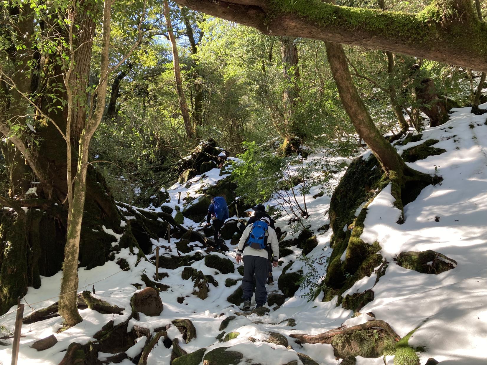 Shiratani Unsuikyo Ravine-9