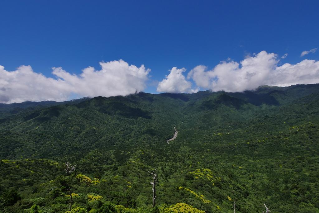 白谷雲水峽-5