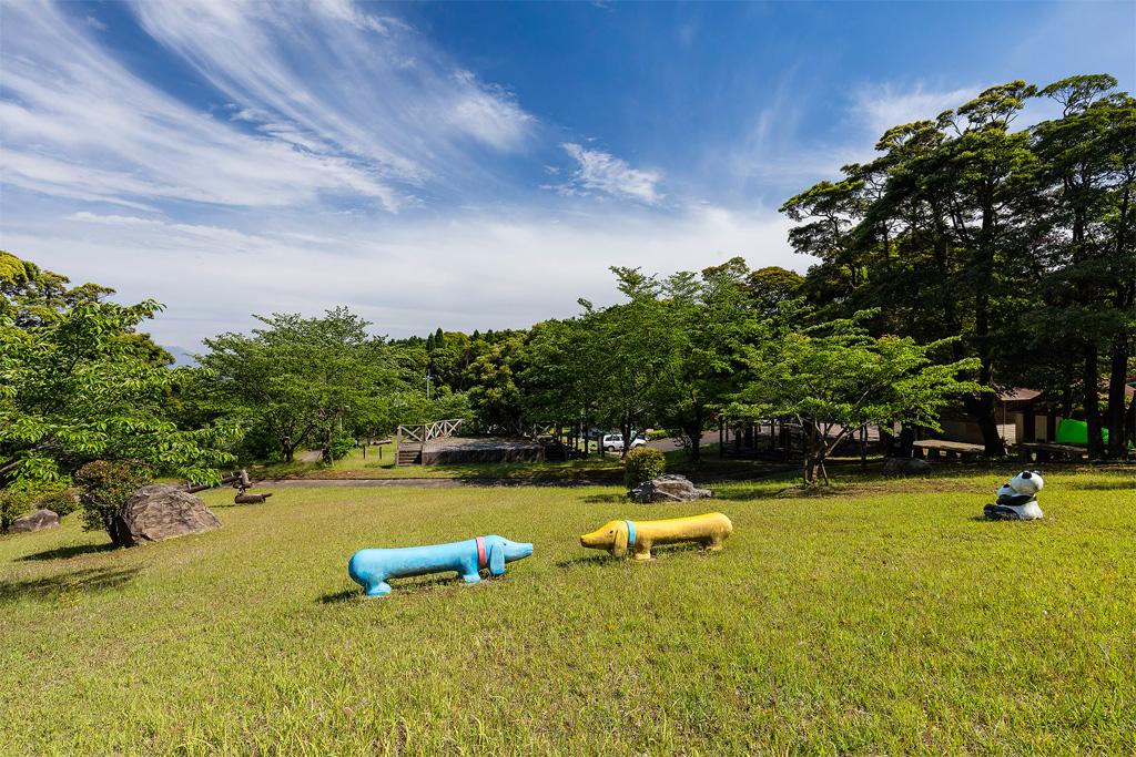 伊集院森林公園-0