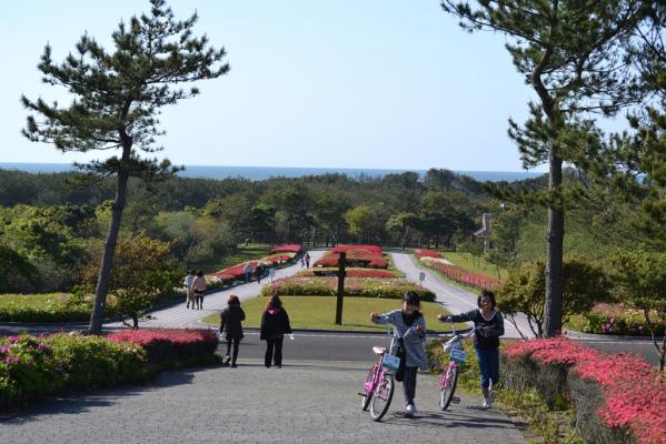 県立吹上浜海浜公園-1