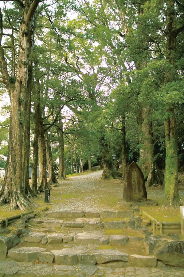 竹田神社といにしへの道（日新公いろは歌歌碑）-3