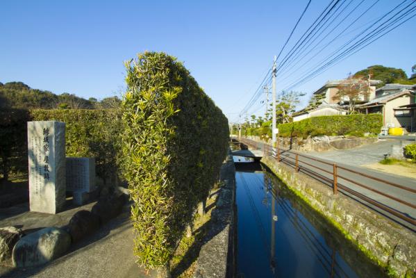 別府城跡（加世田城）-3