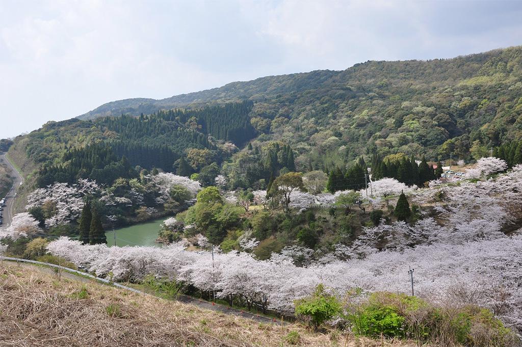 观音池市民森林-7