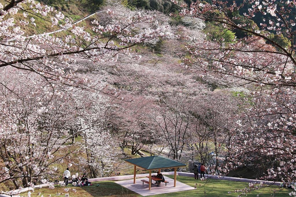 观音池市民森林-0