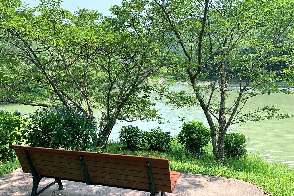 Kannongaike Pond Shimin no Mori (Citizens' Forest)-1