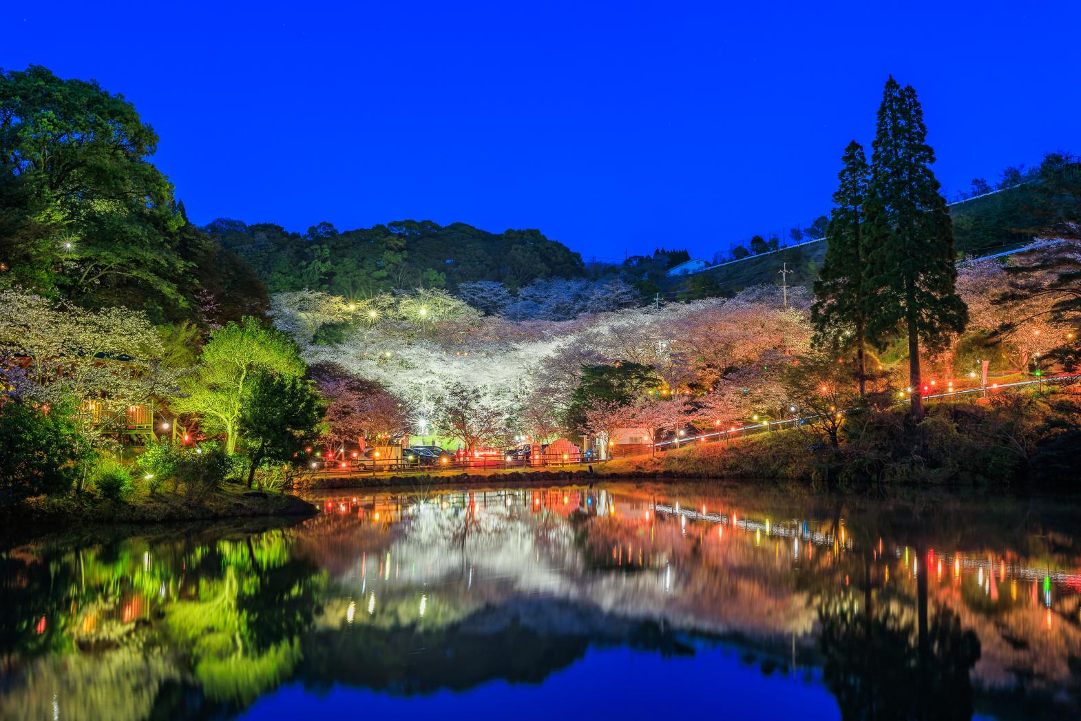 간논가이케 시민의 숲-9