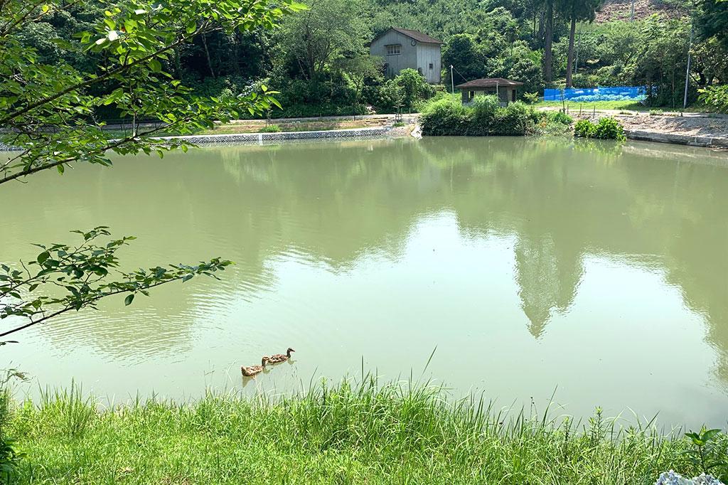 Kannongaike Pond Shimin no Mori (Citizens' Forest)-8
