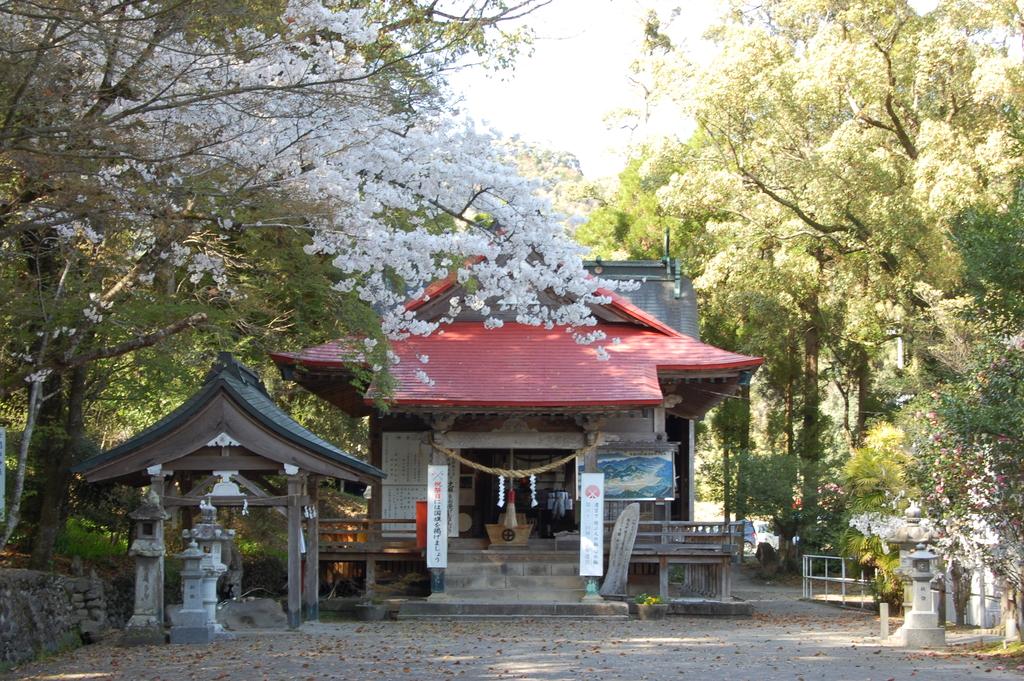 紫尾神社-4