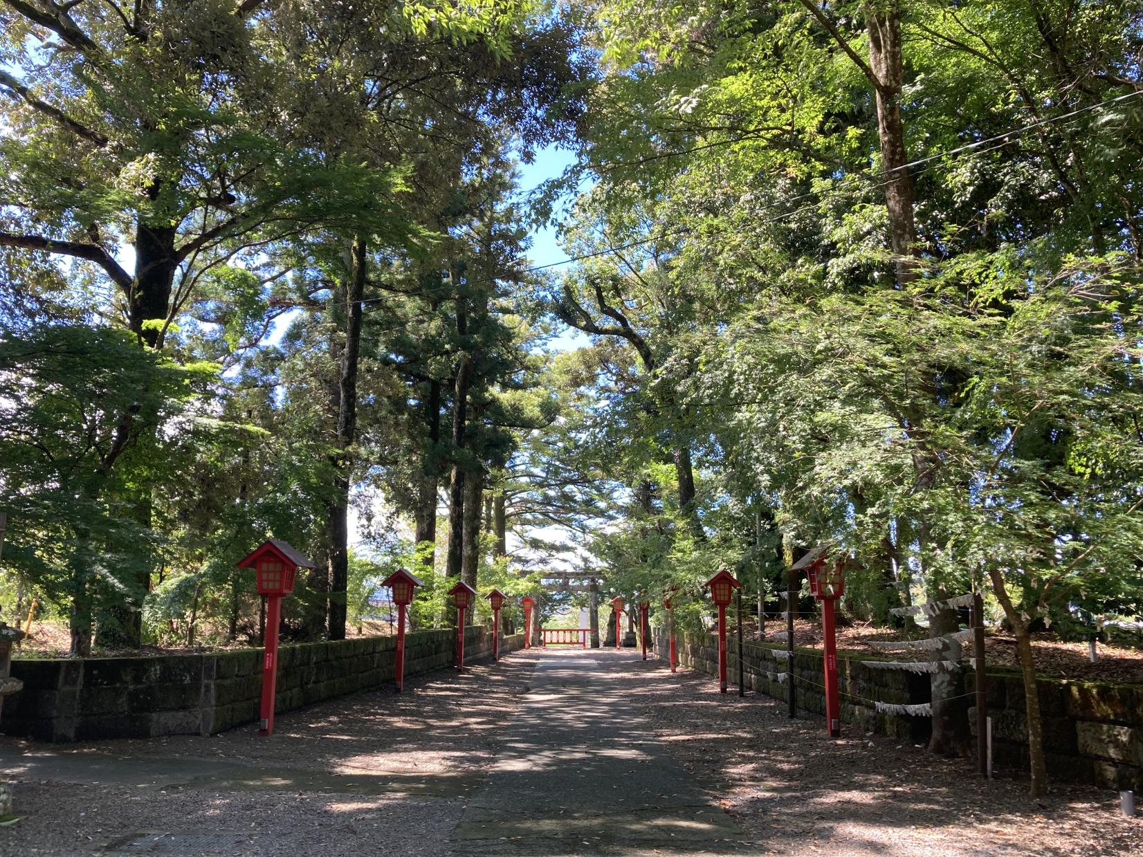 郡山八幡神社（焼酎落書）-3