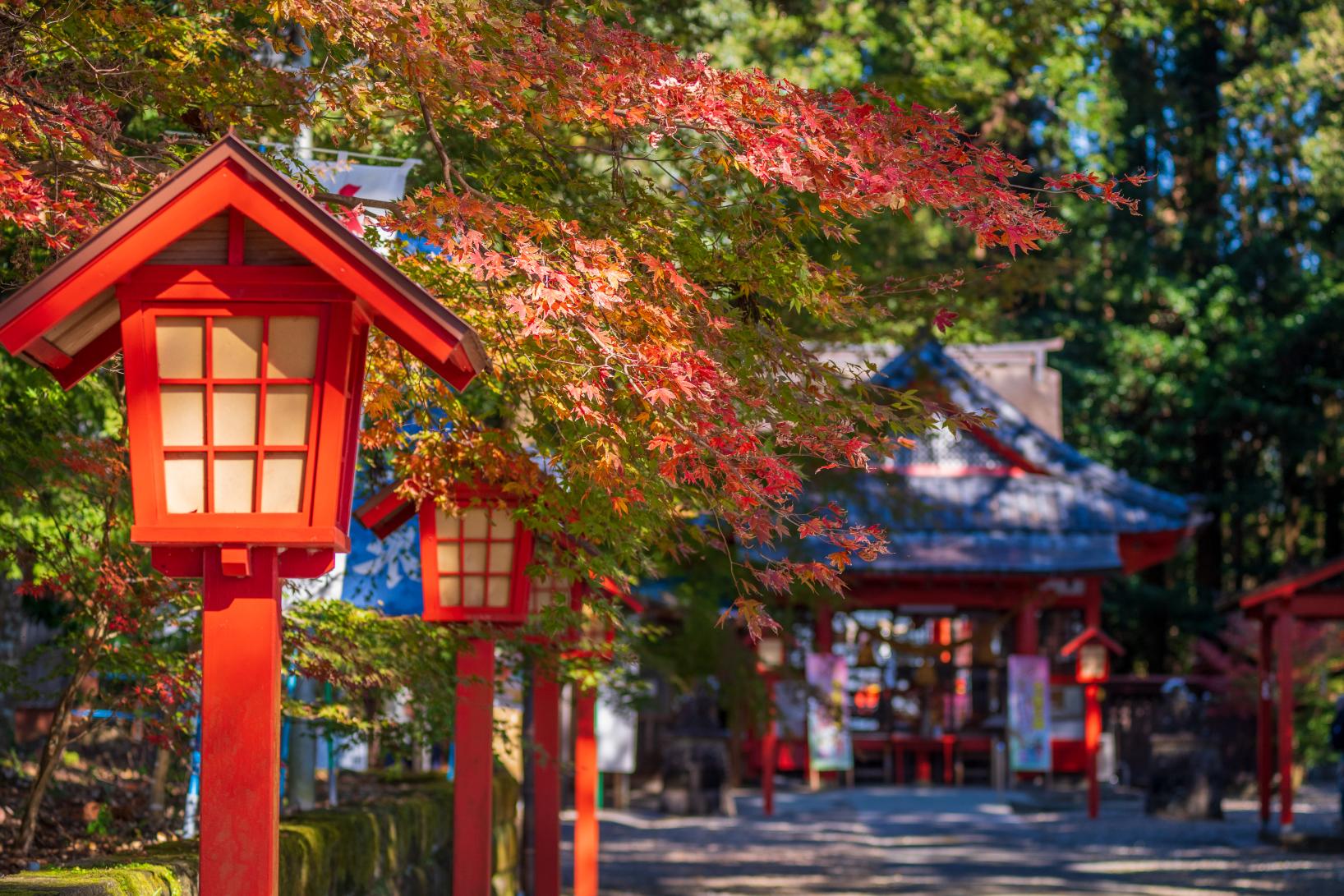 郡山八幡神社（焼酎発祥の地）-1